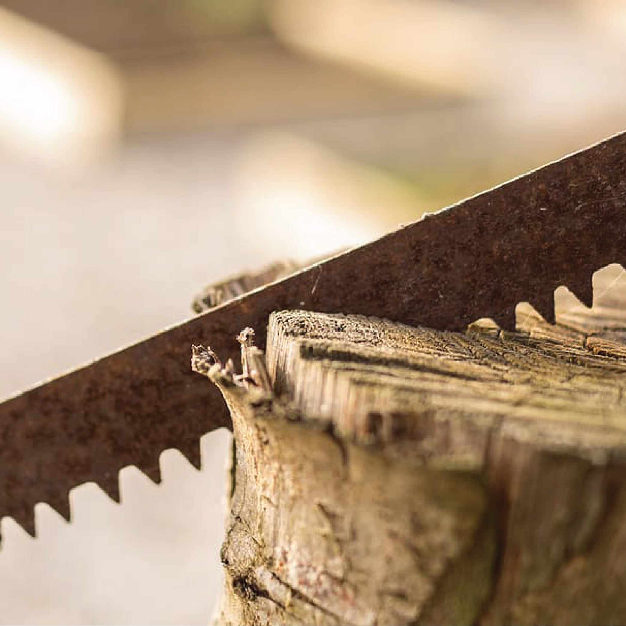 PTA & HAND SAW BLADES