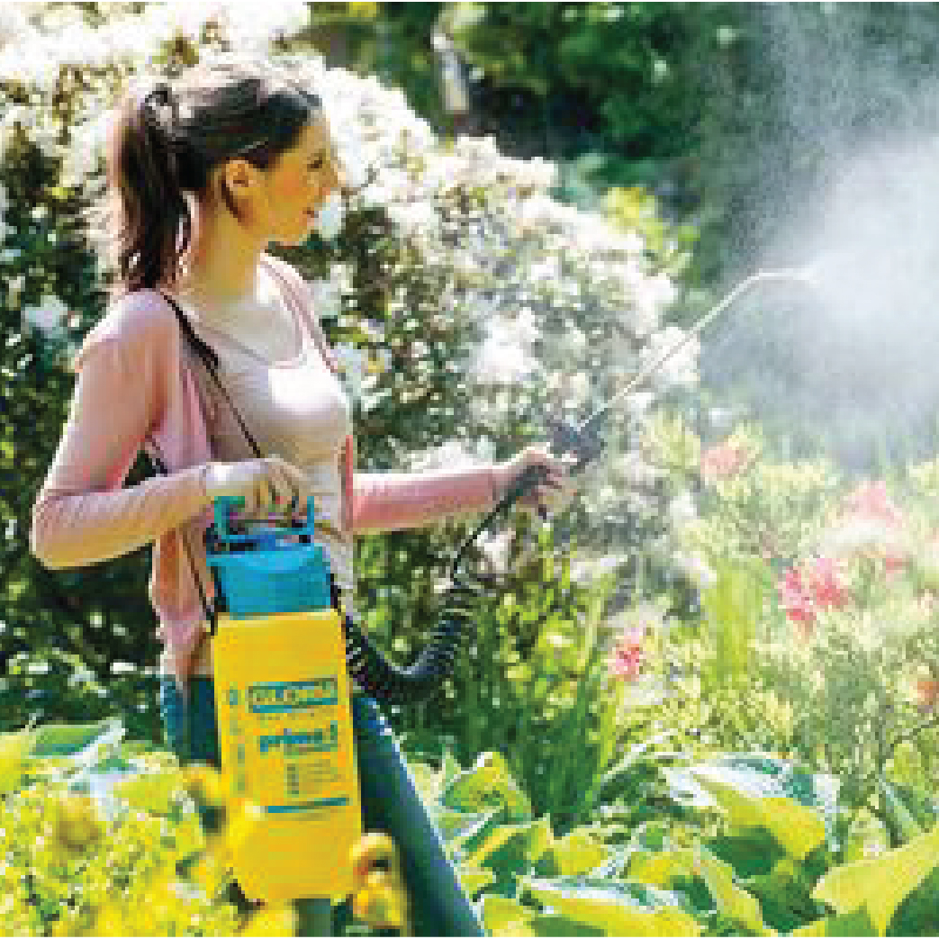 Home & Garden